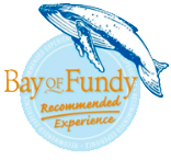 Bay of Fundy - Recommended Experience