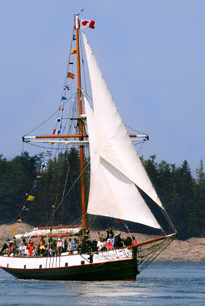 The Jolly Breeze Sailing in Front of an Island on the Bay of Fundy with all of the Ships Flags Flapping in the Wind