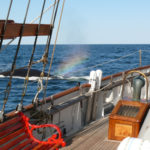 The Misty Rainbow Spray of a Whale Breathing at the Surface Seen From the Deck of the Jolly Breeze, New Brunswick