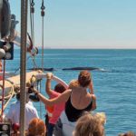 Passengers at the Bow of the Jolly Breeze Enjoying Passing Whales in the Bay of Fundy, Saint Andrews, New Brunswick