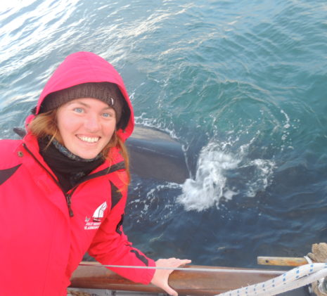 The Jolly Breeze Whale Watching Crew Member Nicole With a Whale