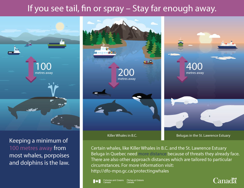 Whale-Watching-Distance-Bigger