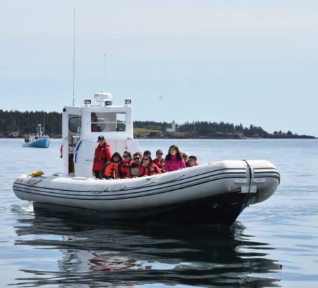 The Zodiac Nautica on the Bay of Fundy Water in 2019 on a Whale Watching Expedition, Saint Andrews, New Brunswick