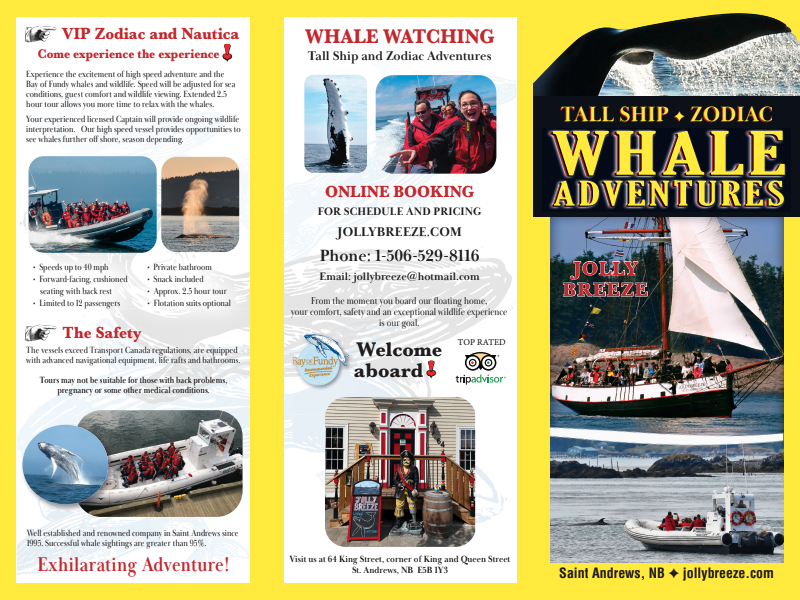 2026 Jolly Breeze Brochure